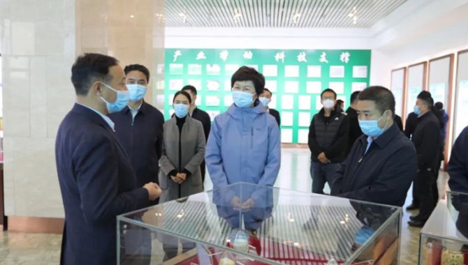 甘肃省人社厅厅长周丽宁等一行领导莅临全国..