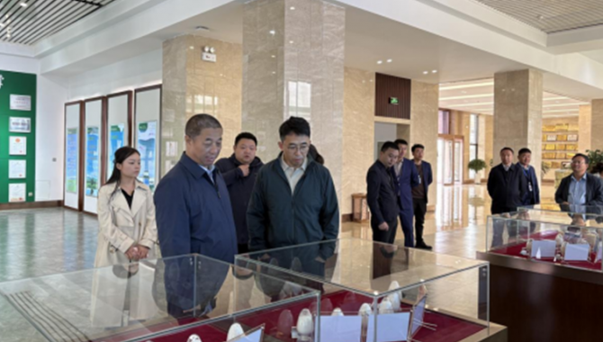发挥主流媒体平台优势  助力牦牛产业高质量发展 ---中央广..